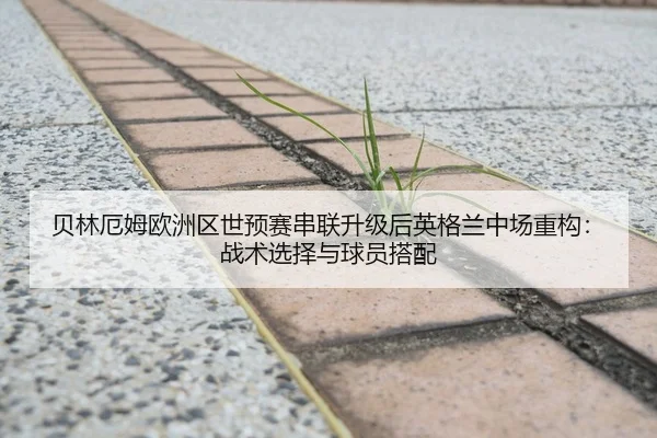 贝林厄姆欧洲区世预赛串联升级后英格兰中场重构：战术选择与球员搭配